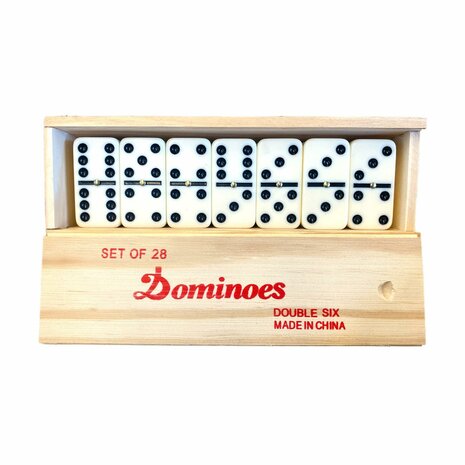 Domino double 6 large with pin.