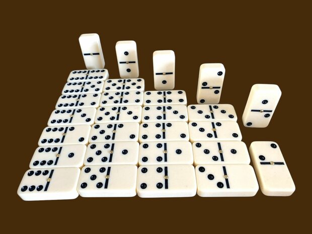 Domino double 6 large with pin.