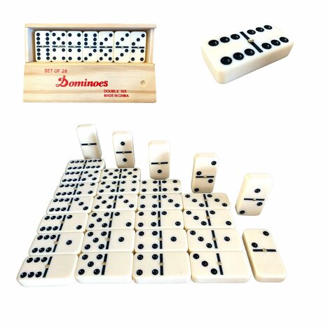 Domino double 6 large with pin.