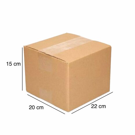 Single wave shipping box (22 x 20 x 15 cm)